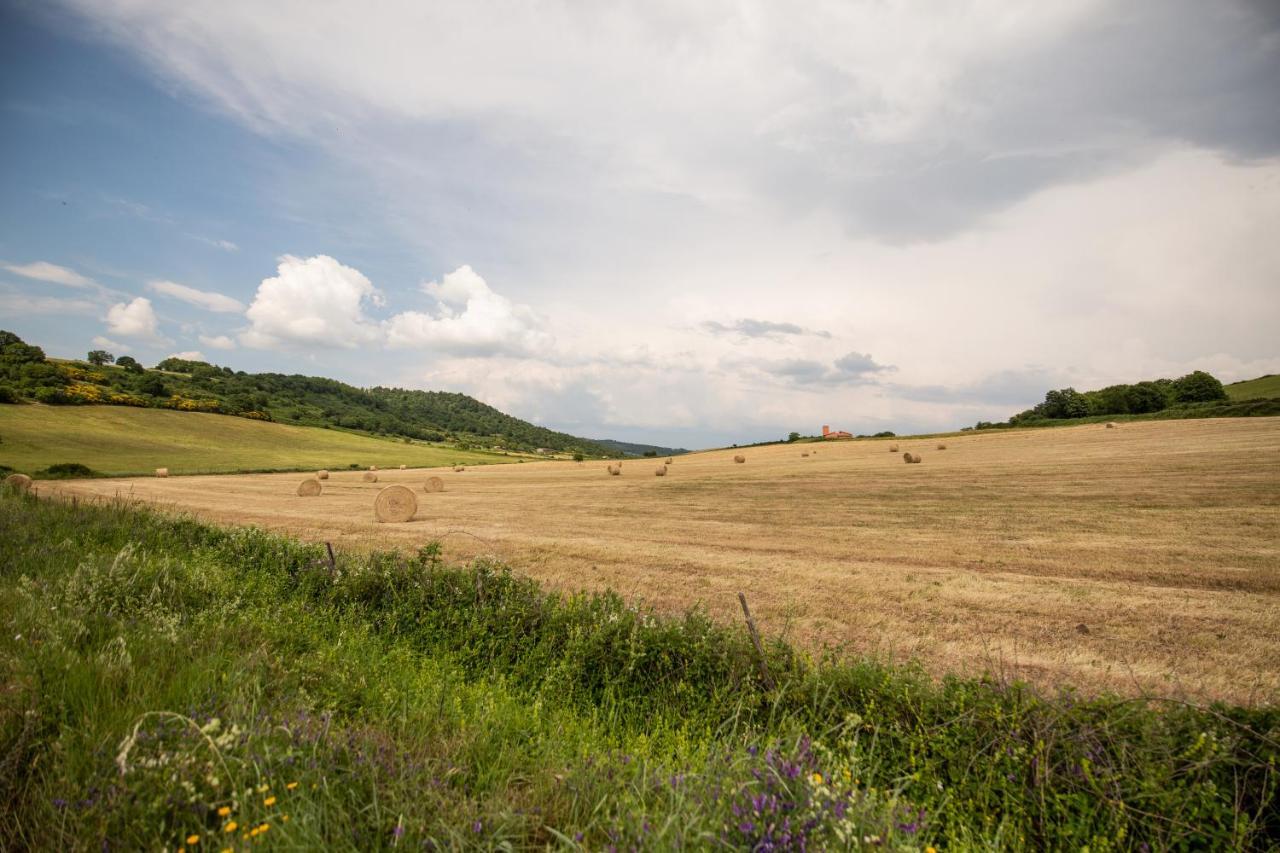 Agriturismo Lago Di Mezzano Valentano Екстериор снимка