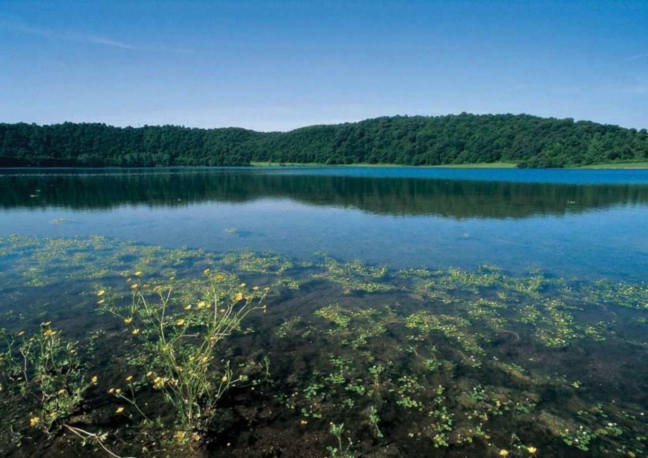 Agriturismo Lago Di Mezzano Valentano Екстериор снимка